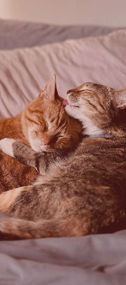 Equipment 住宅品質