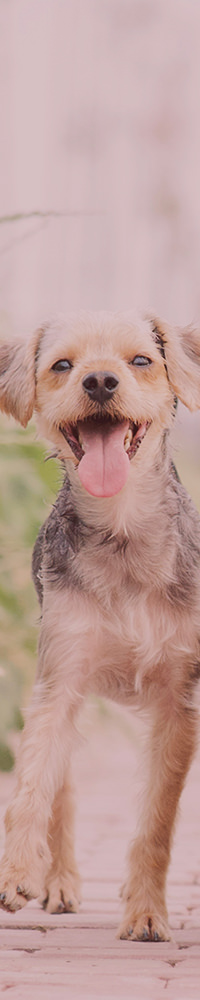 Location ロケーション