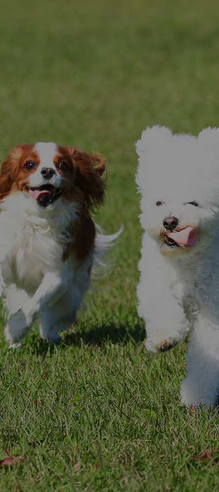 Equipment 設備仕様