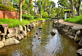 小松川境川親水公園