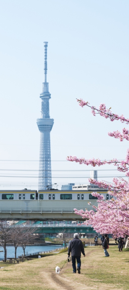Location 周辺環境・アクセス