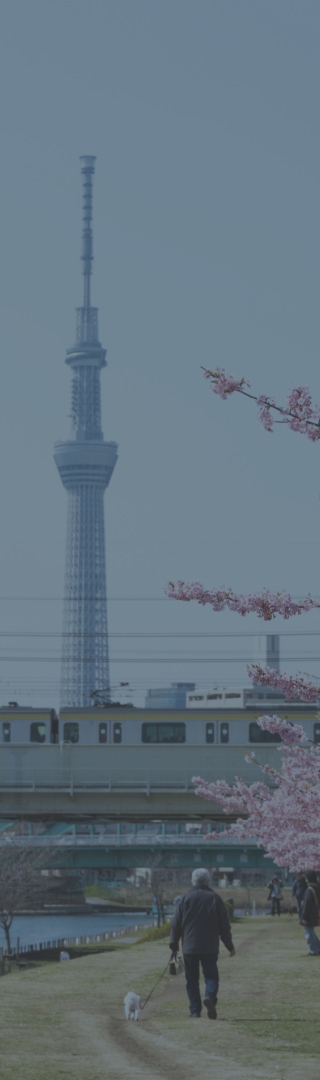 Location 周辺環境・アクセス