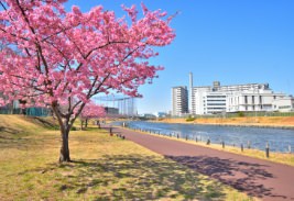 旧中川水辺公園