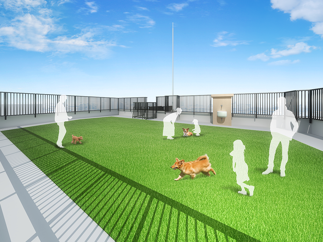 ラグゼナプラス PAWS 南行徳