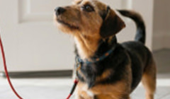 リードフック（玄関扉前）