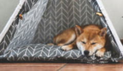 タイル敷きマルチルーム